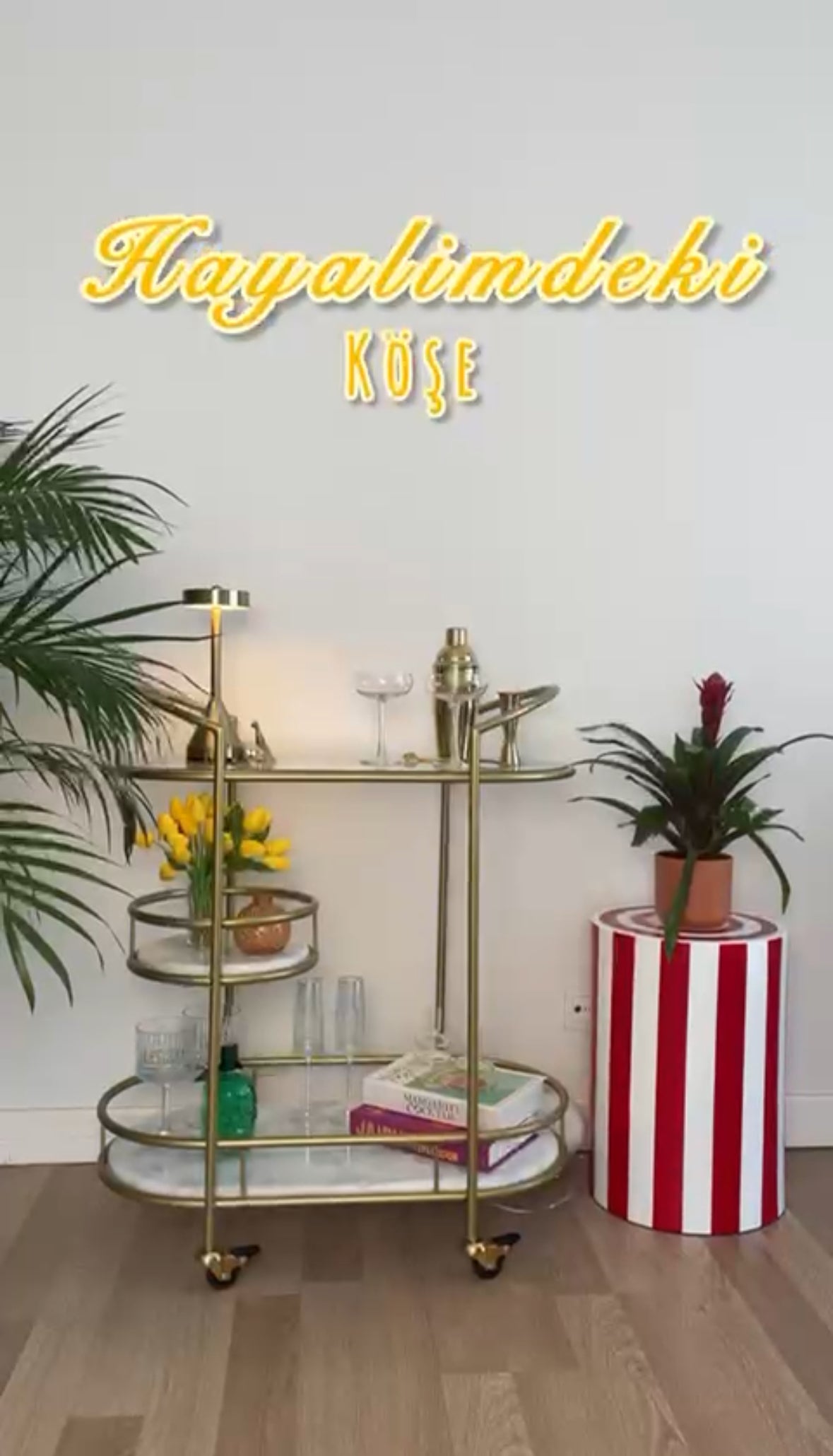 nowshopfun