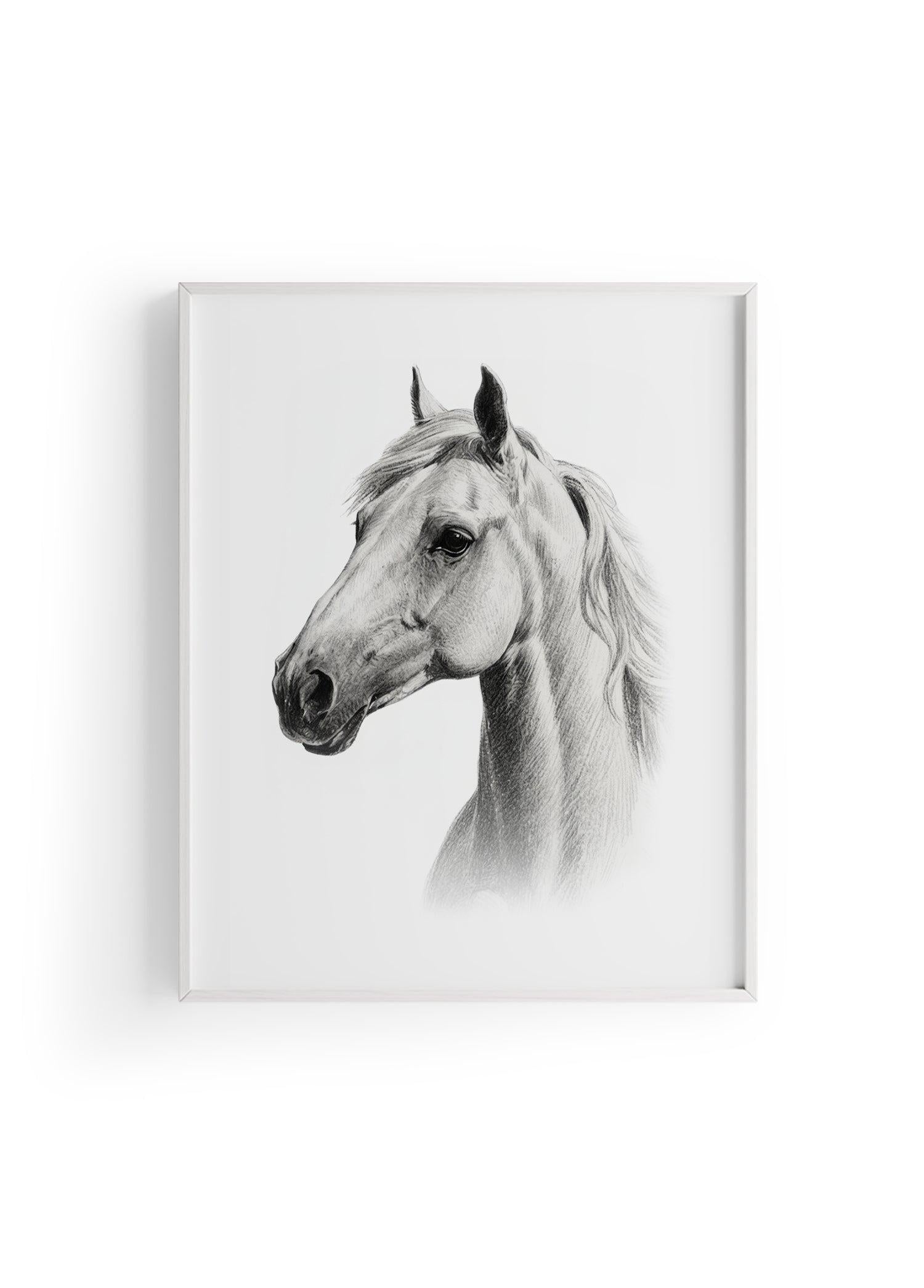 Karakalem Koleksiyonu At Posteri