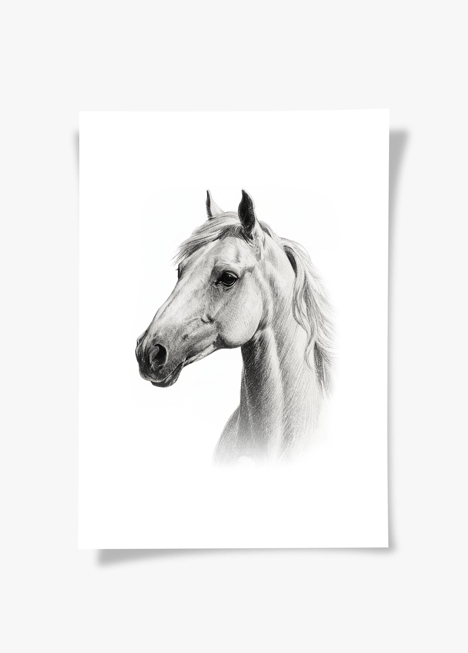 Karakalem Koleksiyonu At Posteri