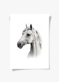 Karakalem Koleksiyonu At Posteri-Tablo-ODA.products-30x40-Çerçevesiz-NowShopFun