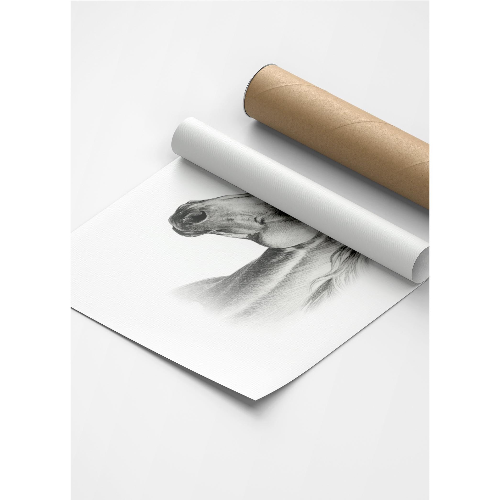 Karakalem Koleksiyonu At Posteri