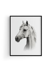 Karakalem Koleksiyonu At Posteri