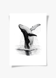 Karakalem Koleksiyonu Balina Posteri-Tablo-ODA.products-30x40-Çerçevesiz-NowShopFun