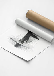 Karakalem Koleksiyonu Balina Posteri-Tablo-ODA.products-30x40-Siyah-NowShopFun
