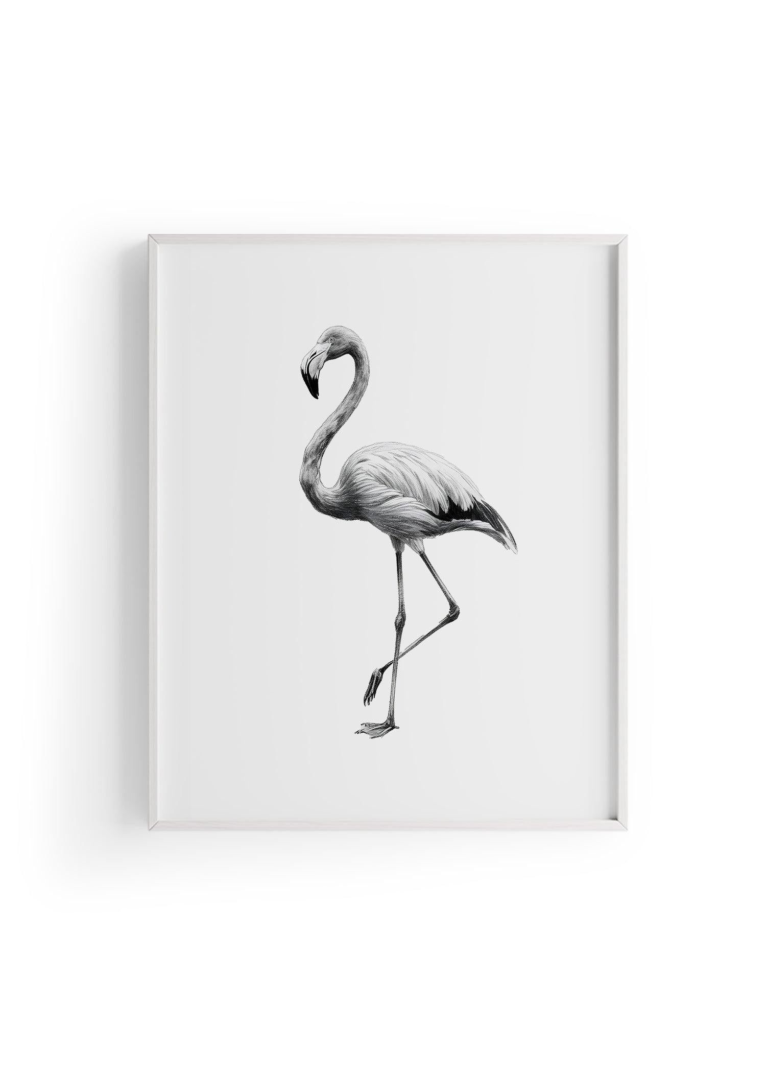 Karakalem Koleksiyonu Flamingo Posteri