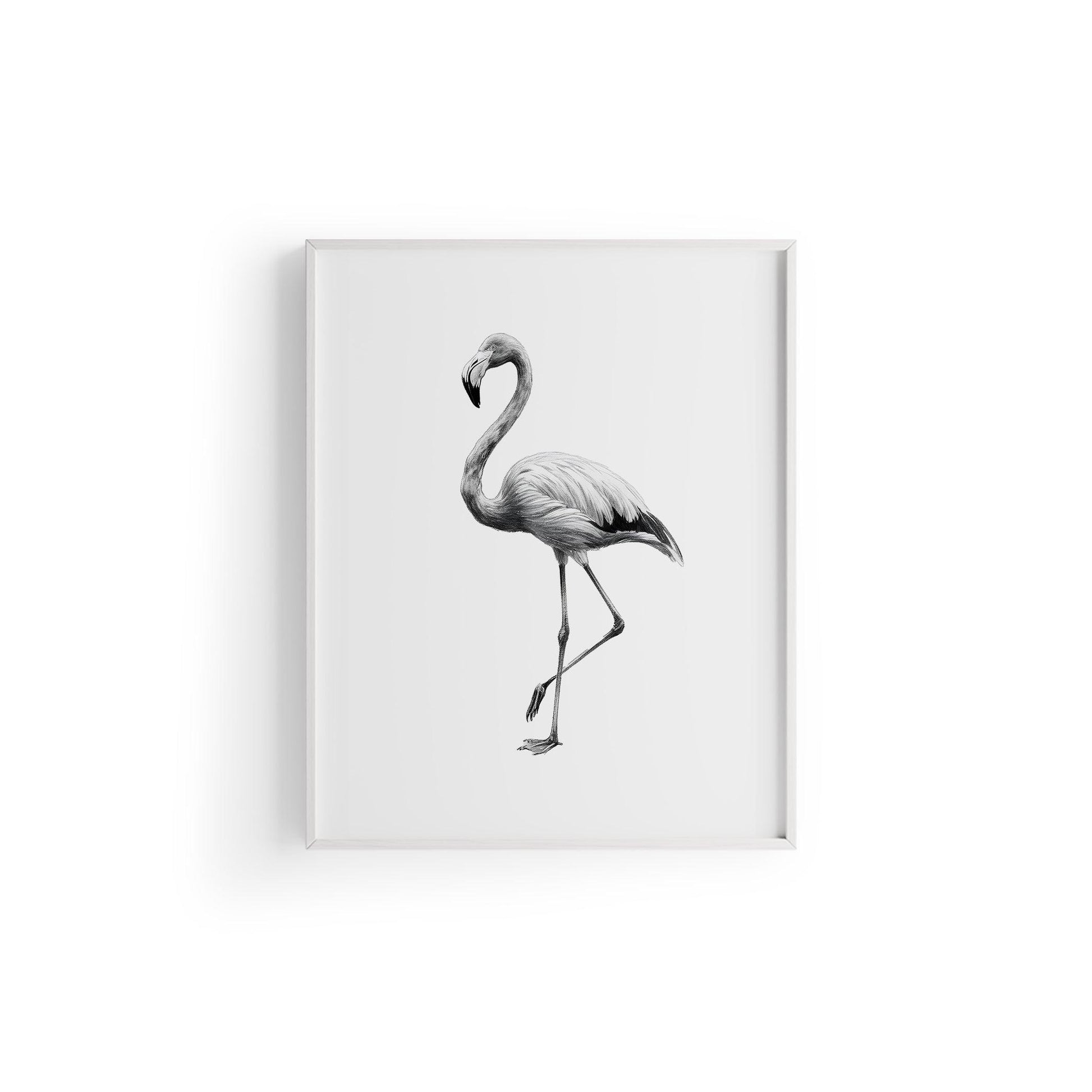 Karakalem Koleksiyonu Flamingo Posteri