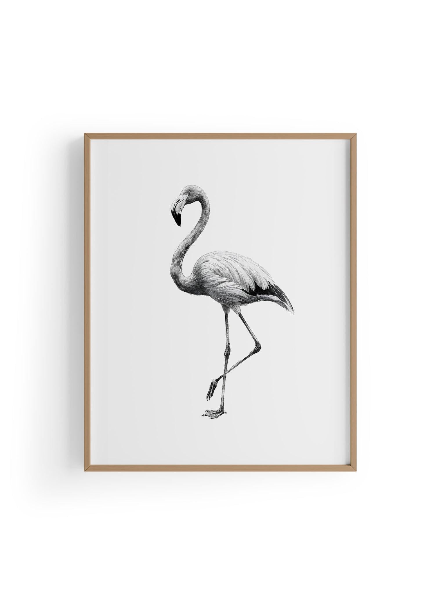 Karakalem Koleksiyonu Flamingo Posteri