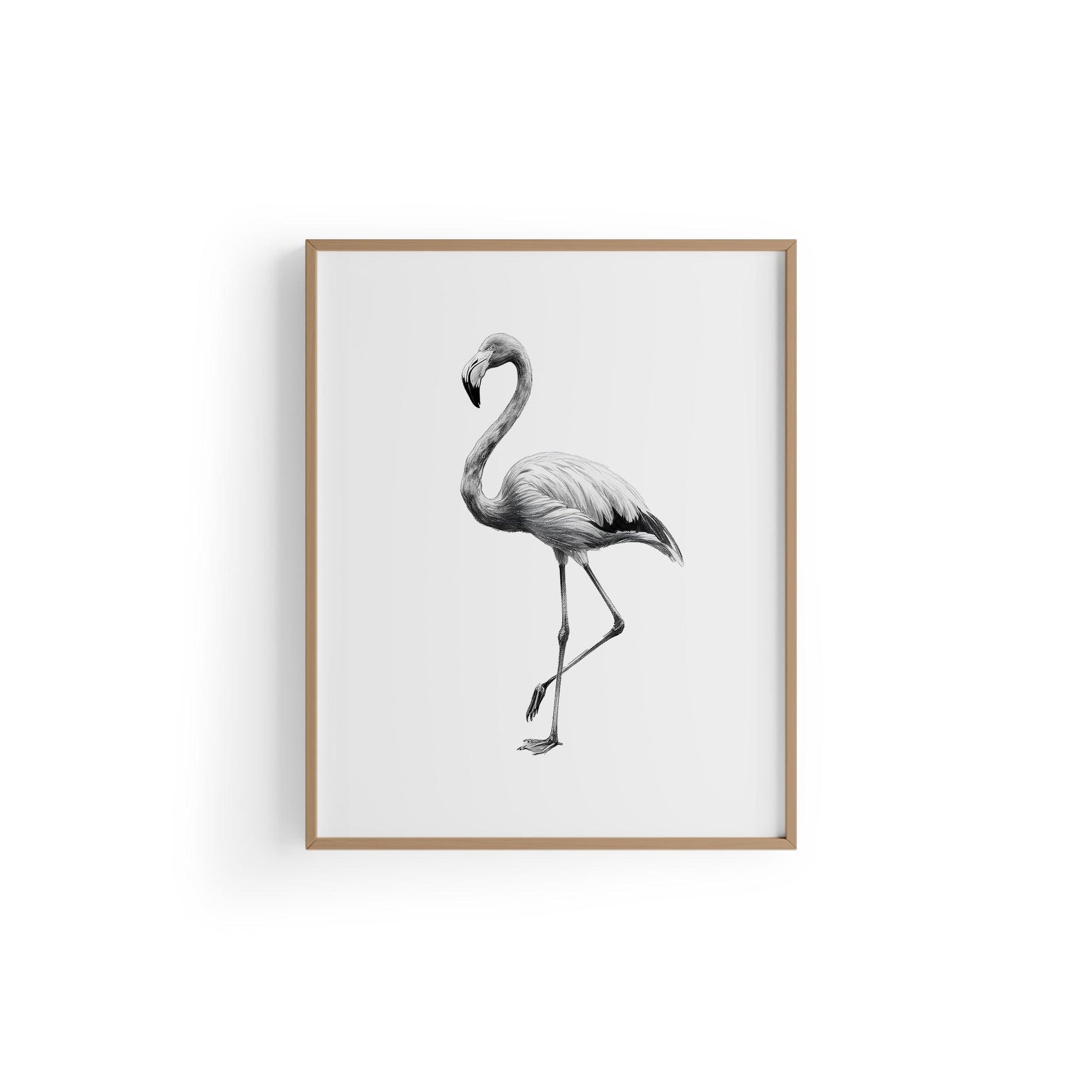 Karakalem Koleksiyonu Flamingo Posteri