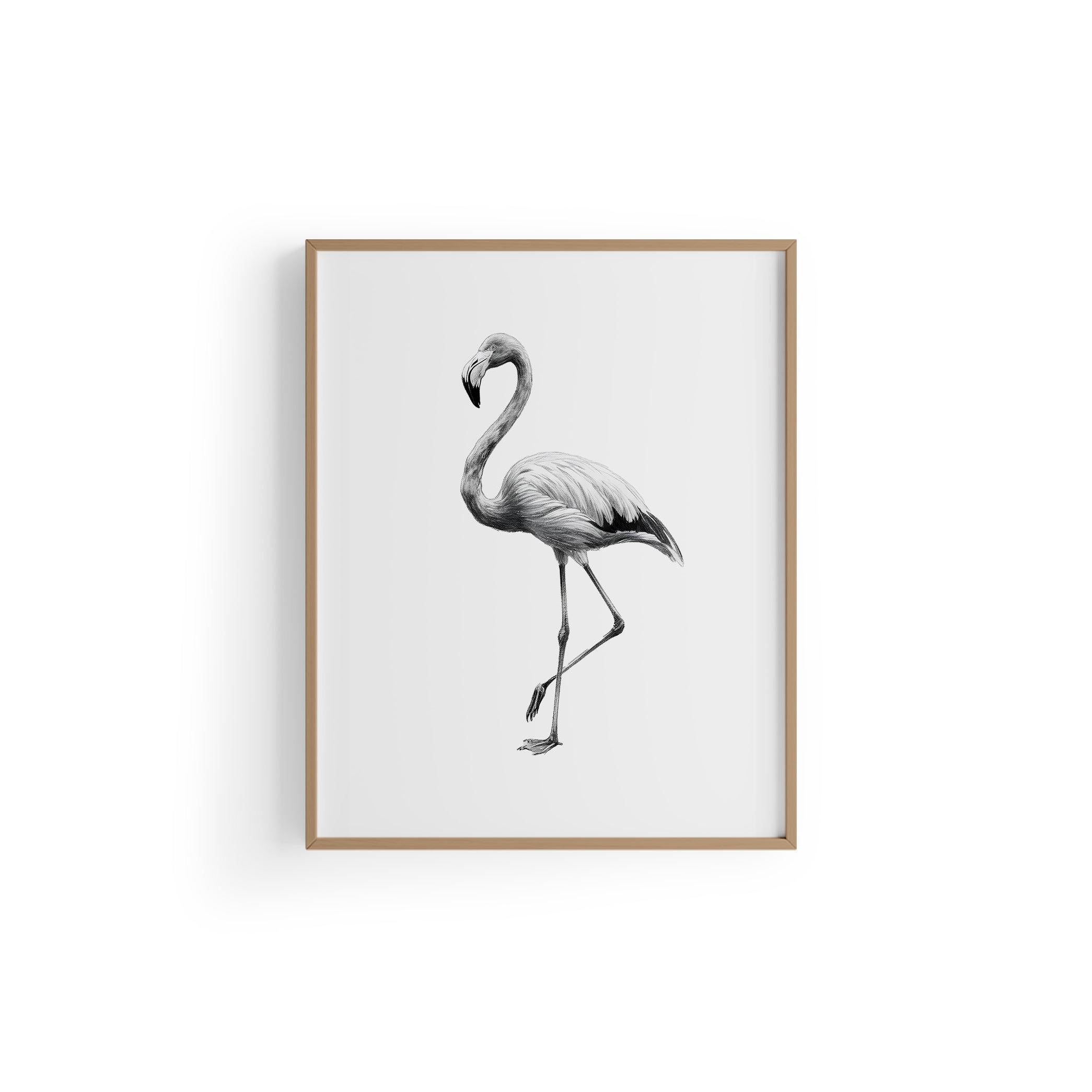 Karakalem Koleksiyonu Flamingo Posteri