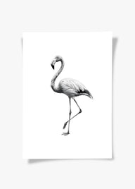 Karakalem Koleksiyonu Flamingo Posteri-Tablo-ODA.products-30x40-Çerçevesiz-NowShopFun
