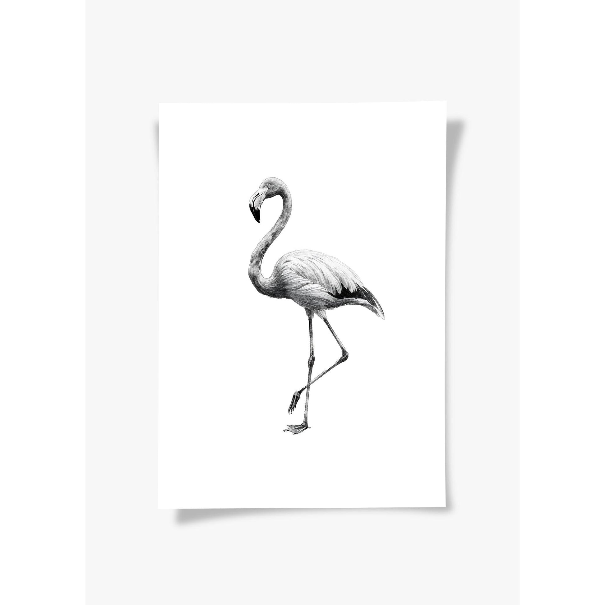 Karakalem Koleksiyonu Flamingo Posteri