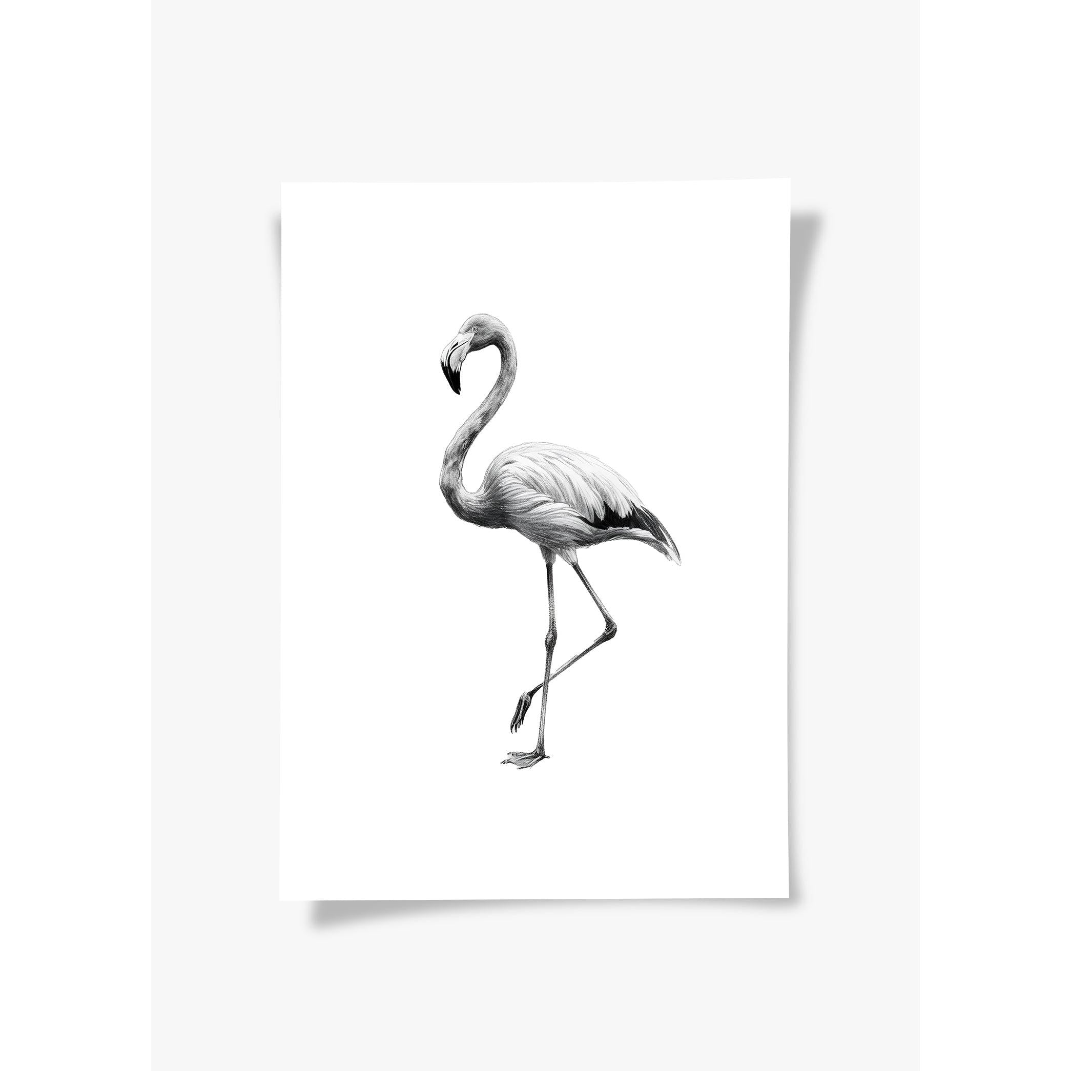 Karakalem Koleksiyonu Flamingo Posteri