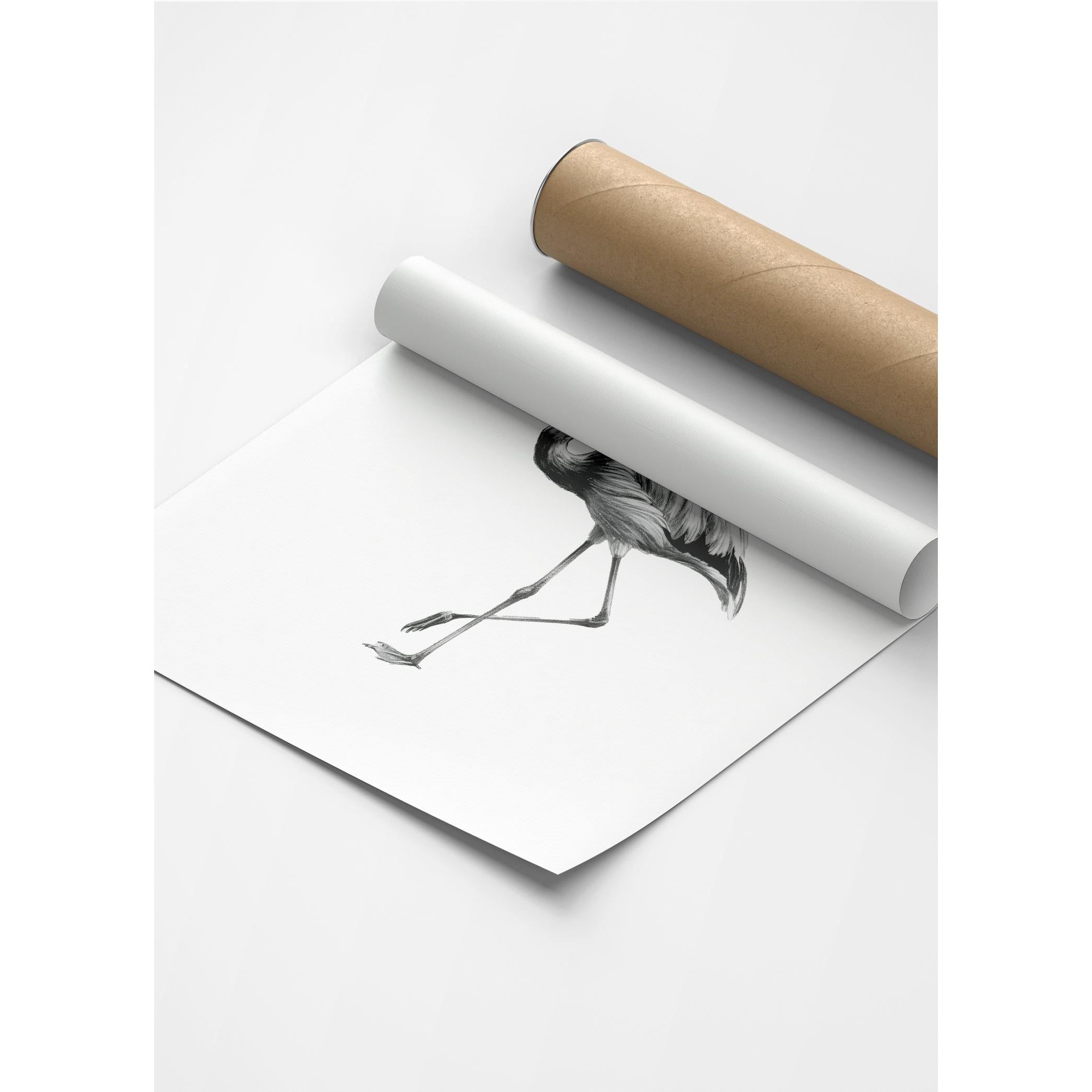 Karakalem Koleksiyonu Flamingo Posteri