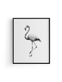 Karakalem Koleksiyonu Flamingo Posteri