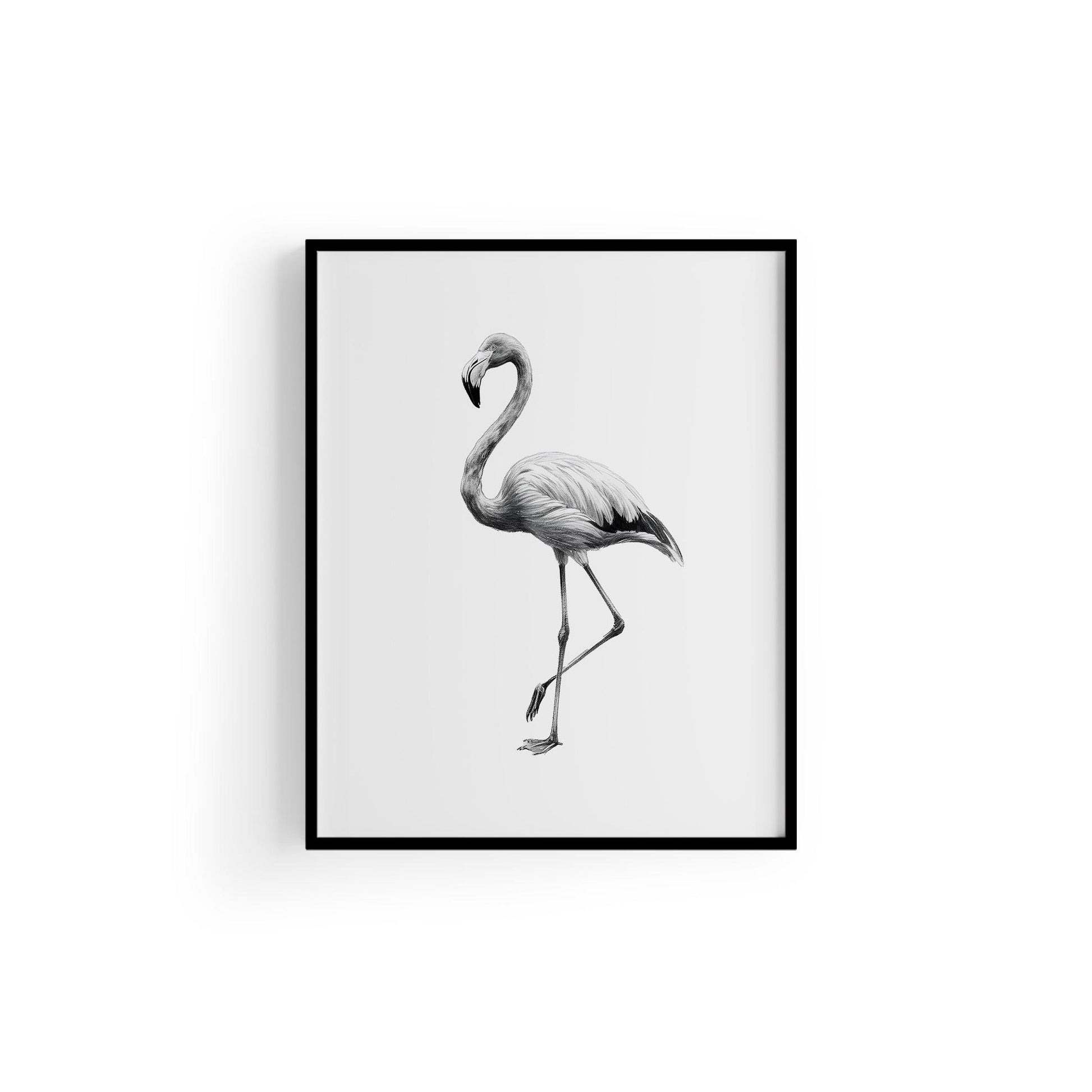 Karakalem Koleksiyonu Flamingo Posteri