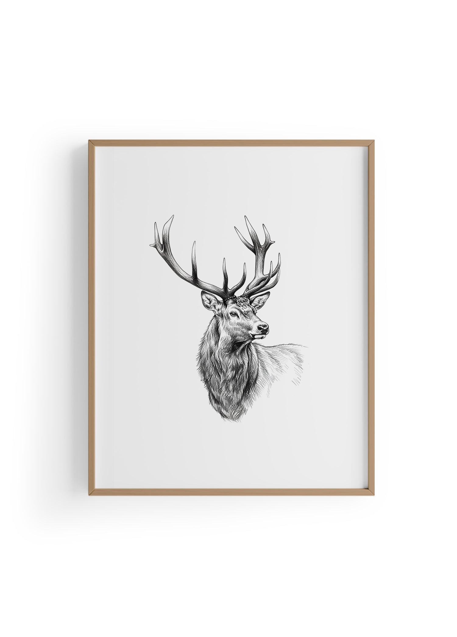 Karakalem Koleksiyonu Geyik Posteri