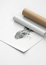 Karakalem Koleksiyonu Geyik Posteri-Tablo-ODA.products-30x40-Siyah-NowShopFun