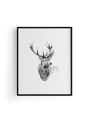 Karakalem Koleksiyonu Geyik Posteri