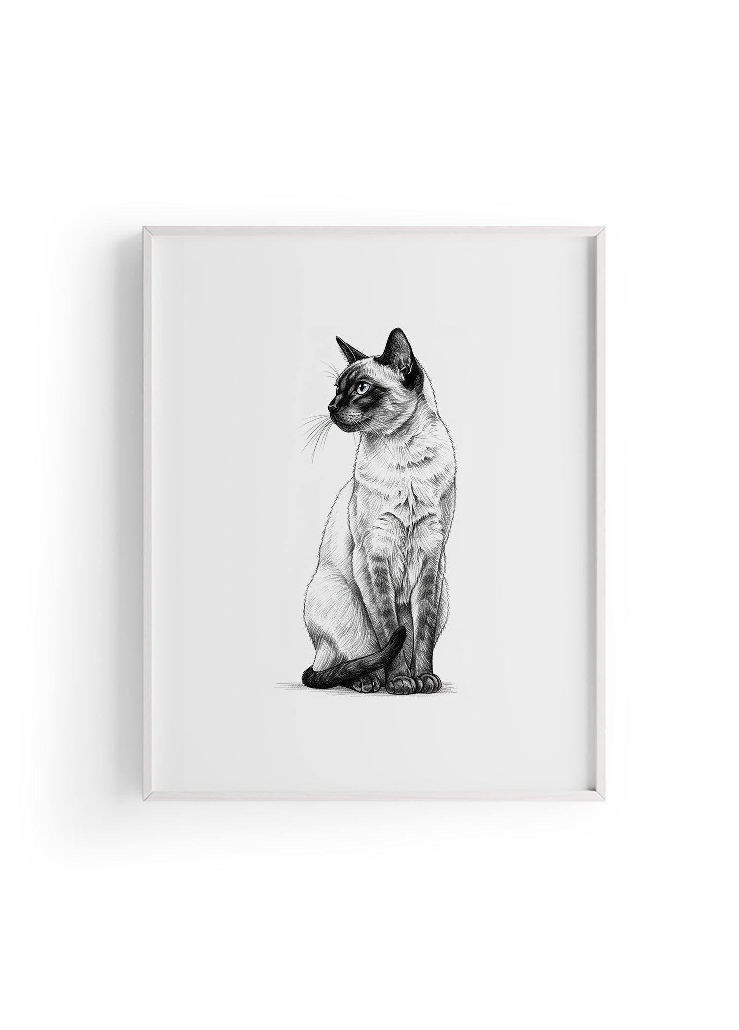 Karakalem Koleksiyonu Kedi Posteri