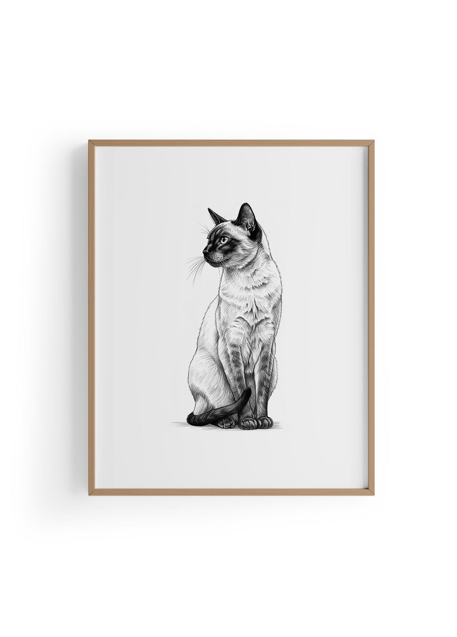 Karakalem Koleksiyonu Kedi Posteri