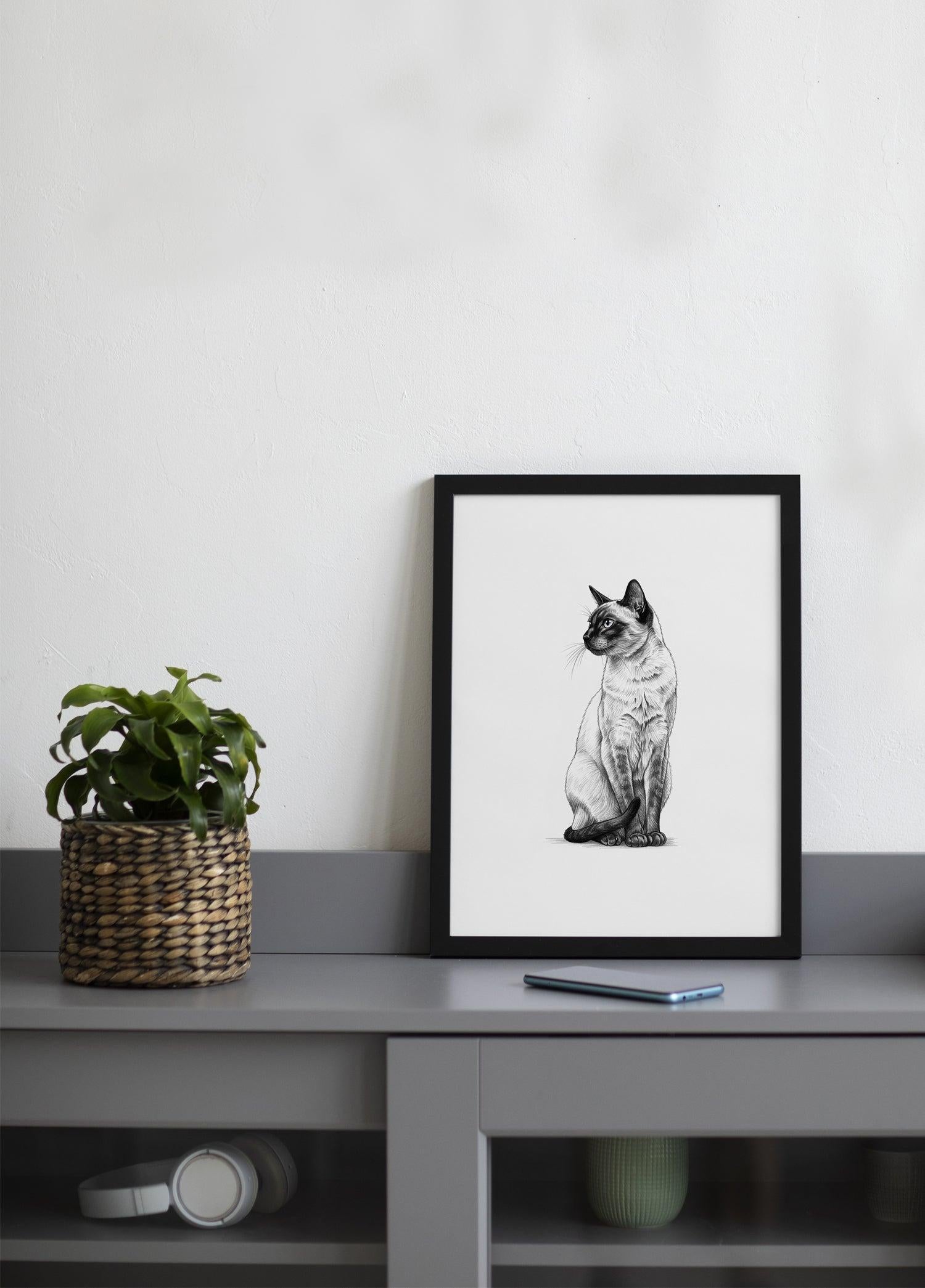 Karakalem Koleksiyonu Kedi Posteri