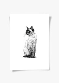 Karakalem Koleksiyonu Kedi Posteri-Tablo-ODA.products-30x40-Çerçevesiz-NowShopFun