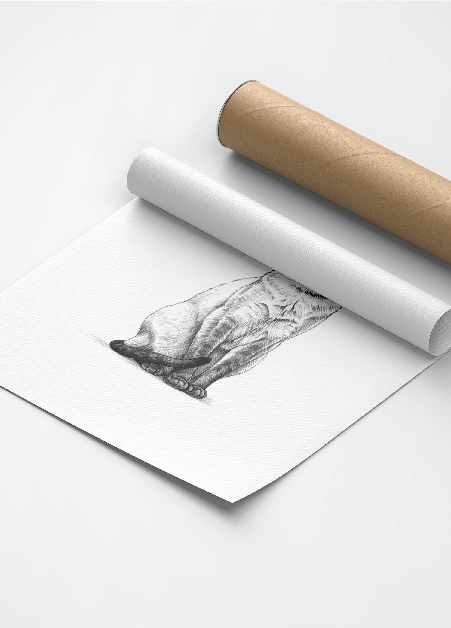 Karakalem Koleksiyonu Kedi Posteri