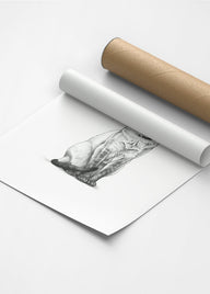 Karakalem Koleksiyonu Kedi Posteri-Tablo-ODA.products-30x40-Siyah-NowShopFun