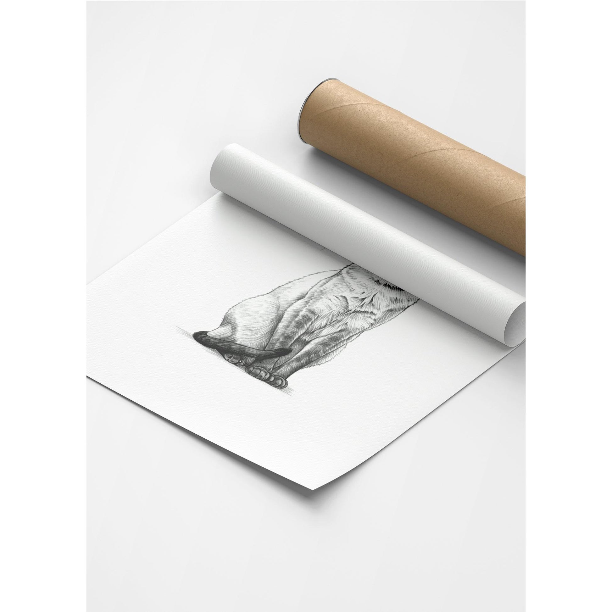 Karakalem Koleksiyonu Kedi Posteri