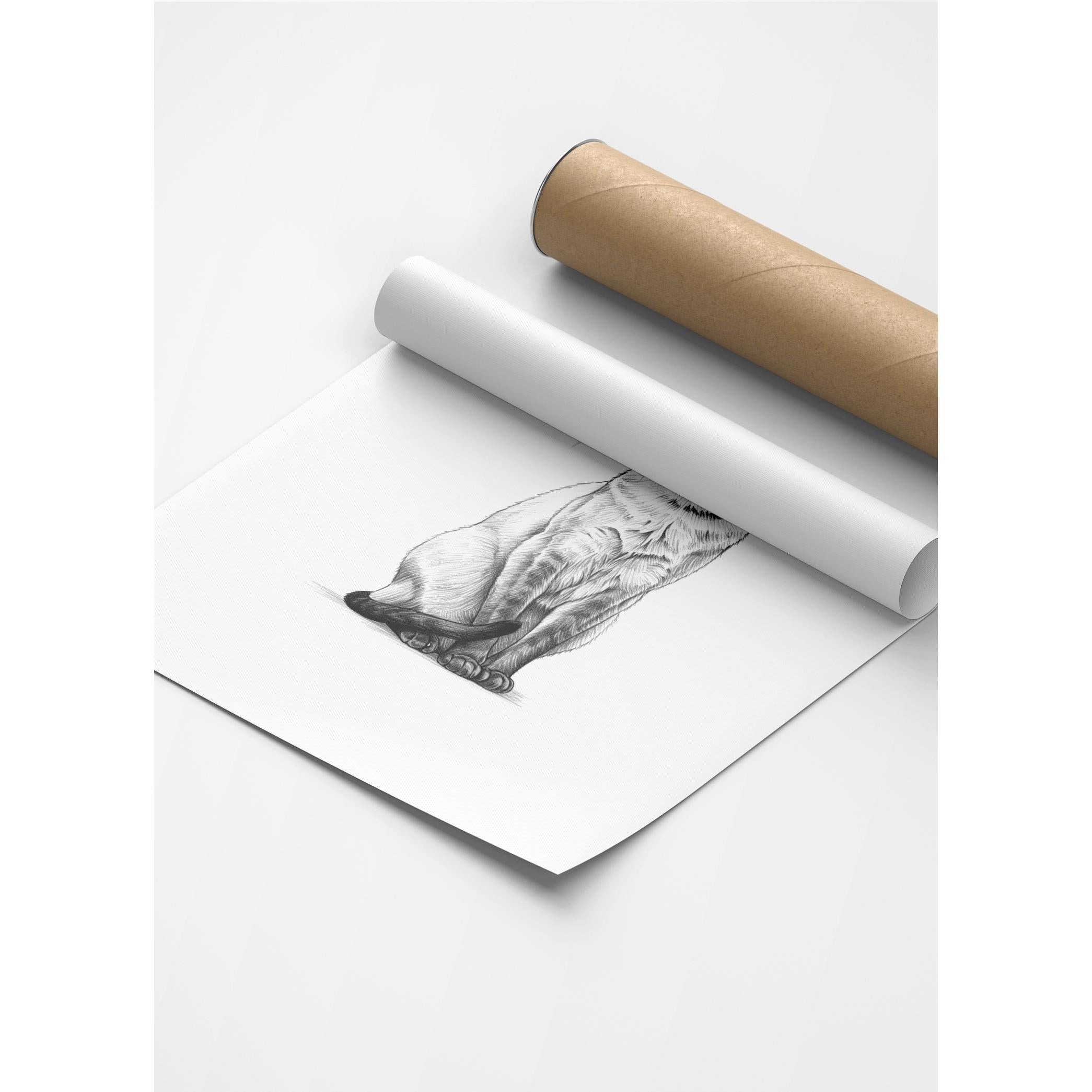 Karakalem Koleksiyonu Kedi Posteri