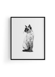 Karakalem Koleksiyonu Kedi Posteri