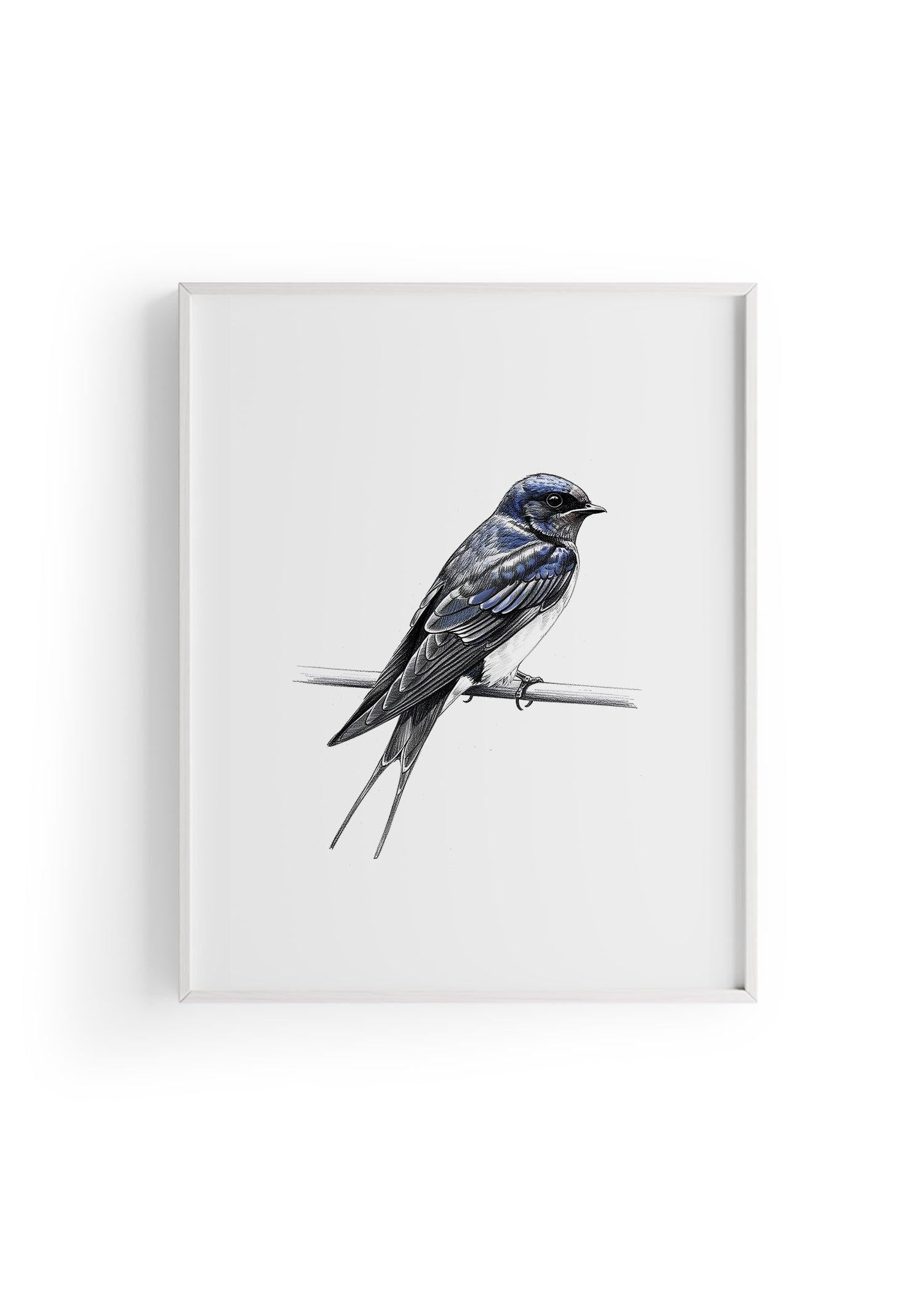 Karakalem Koleksiyonu Kırlangıç Koleksiyonu