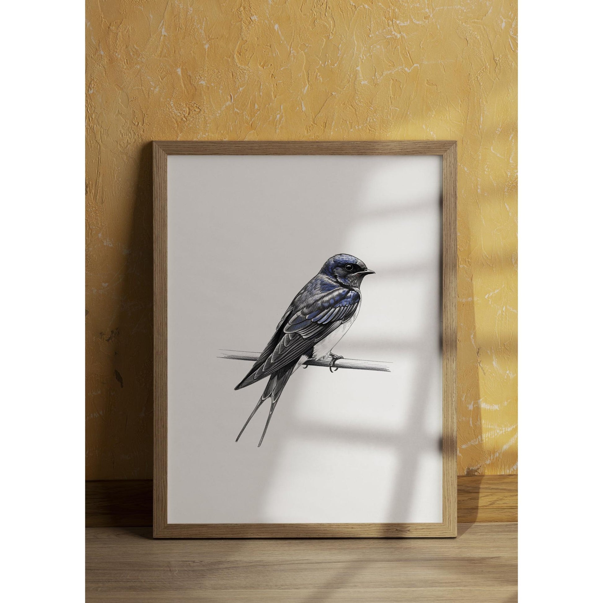 Karakalem Koleksiyonu Kırlangıç Koleksiyonu