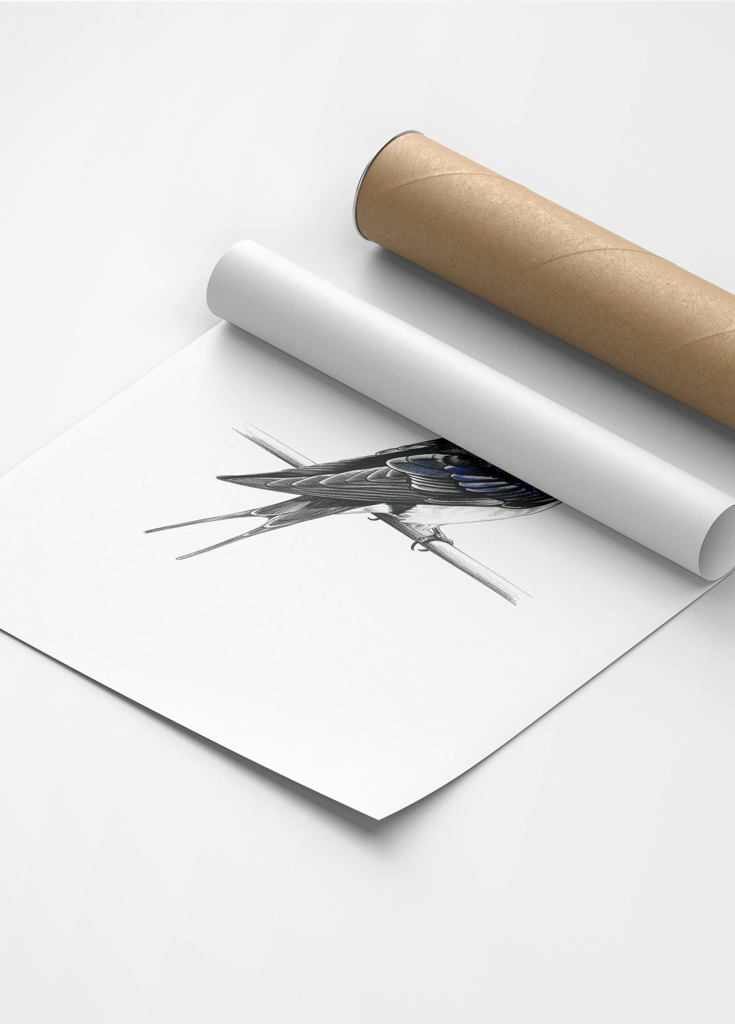 Karakalem Koleksiyonu Kırlangıç Koleksiyonu