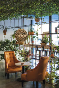 Lennis Natural-Raffia Sarkıt Avize-Avize-A.C.B Iluminacion-NowShopFun