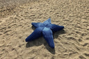 Livingstore Starfish Havuz, Deniz Ve Dış Mekan Pufu | Bahçe Kullanımına Uygun Puf Minder