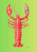 Hazal Türer - Lobster 3' Lü Set Fine Art Baskı