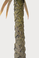 Luna Palm