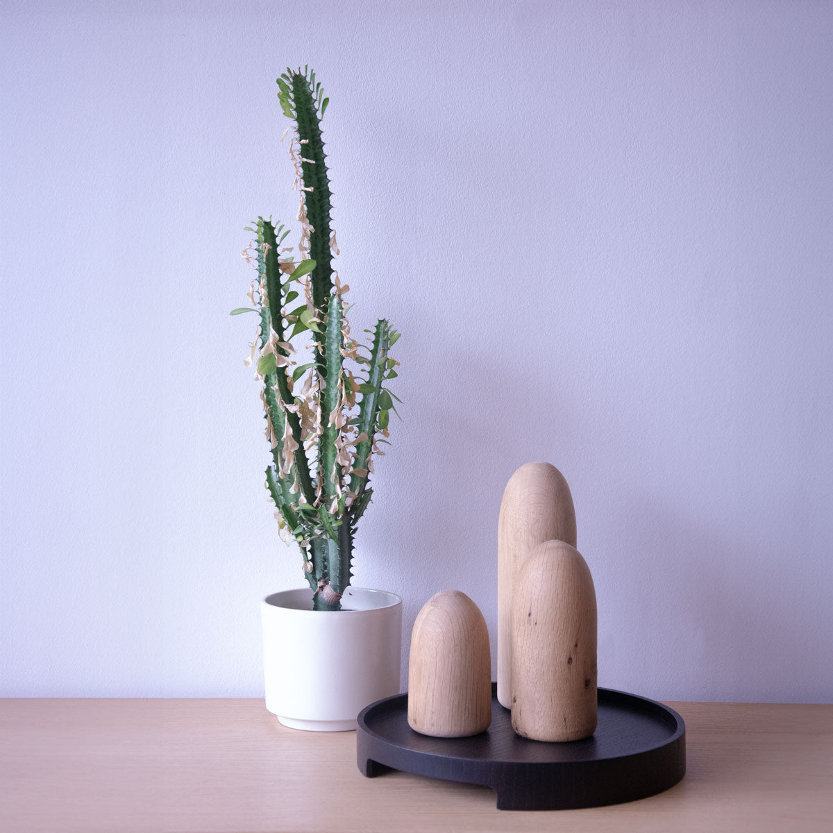 Masif Meşe Sunum Tepsisi – Edge Serisi