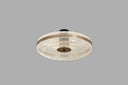 Modern Aydınlatma Plafonyer Tekli Gold