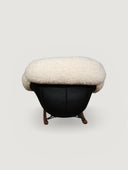 Nest Sallanan Berjer