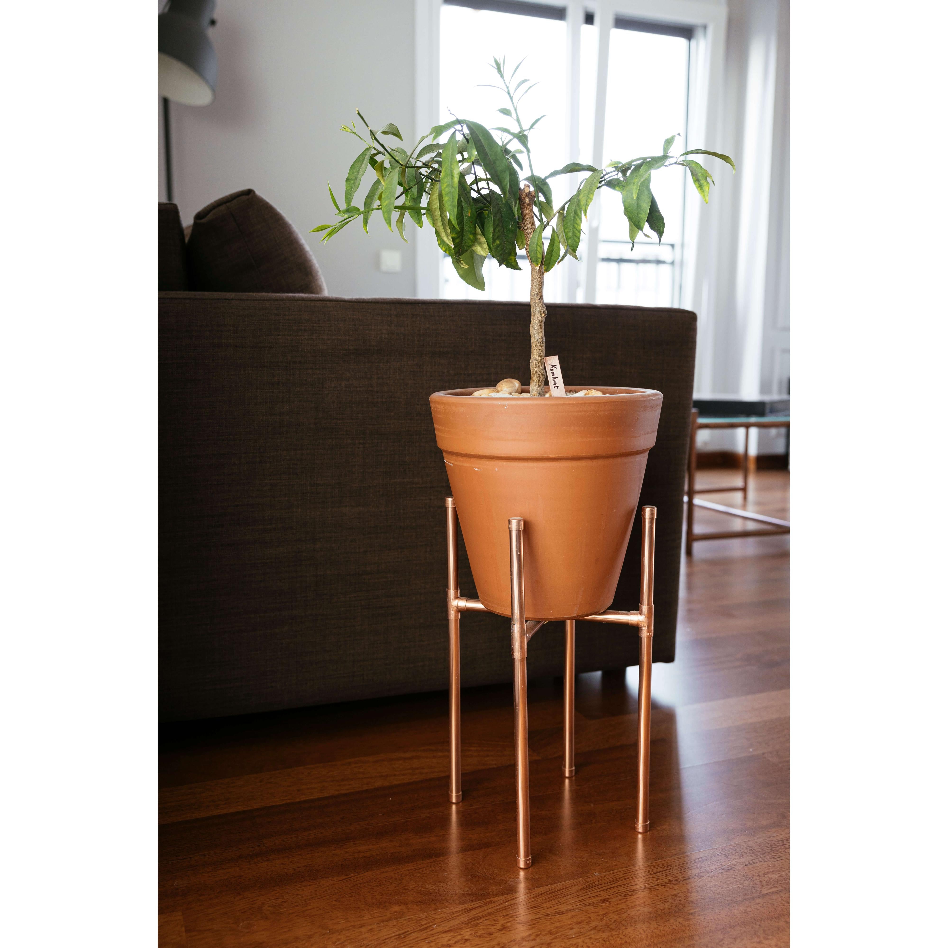 Northparkes Bakır Çiçek Standı