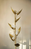 Olivya Lambader