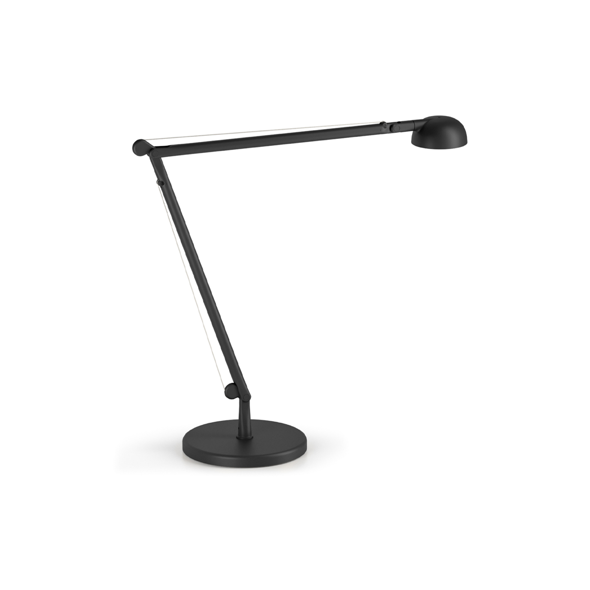 Opuntia Mat Siyah Masa Lambası