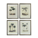 Palm No.2 Tablo