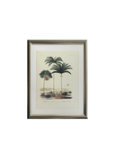 Palm No.2 Tablo