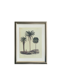Palm No.3 Tablo
