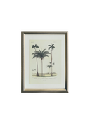 Palm No.4 Tablo