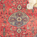 Piravi Çiçek Desenli El Dokuma Halı 217X334 Cm