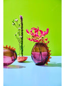 Prickly Vazo
